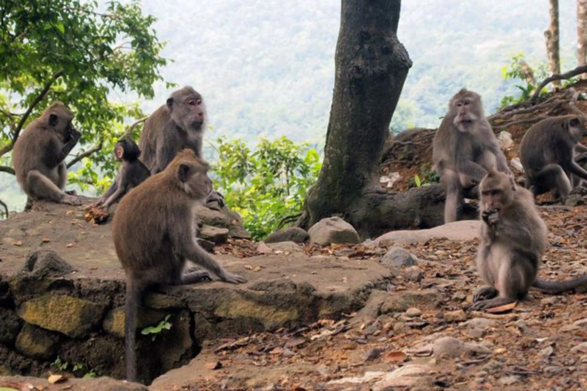 15 Things You Should See on Lombok (1)