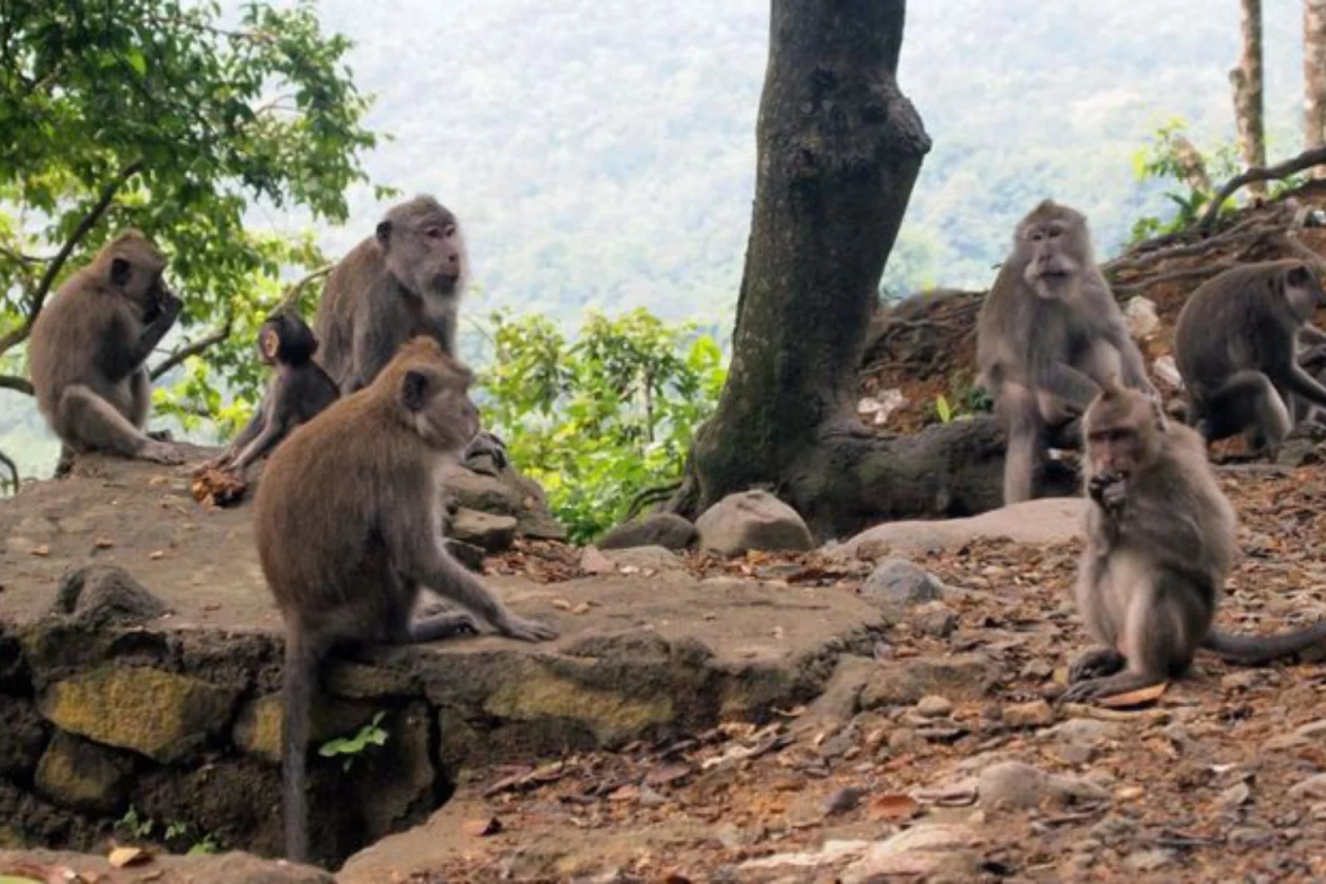 15 Things You Should See on Lombok