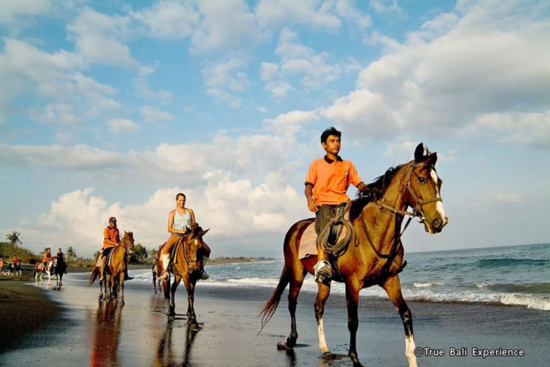 7 Horseback Riding Centres in Bali - A Mini Guide to Bali Horse-Riding - Go Guides