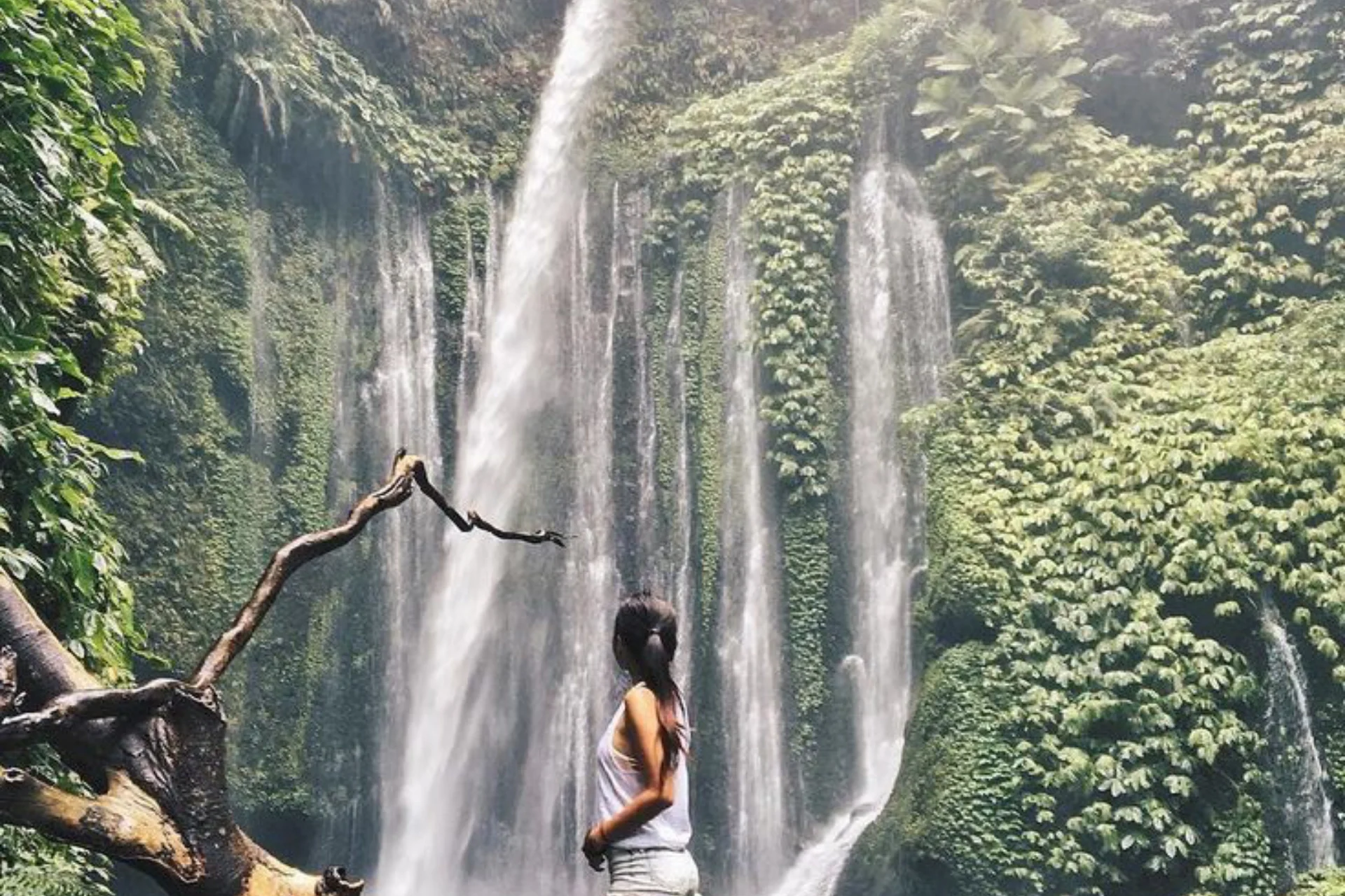 A perfect for nature lover in Lombok, Tiu Kelep Waterfall, Indonesia Photo by_ IG @fionaudrey2193