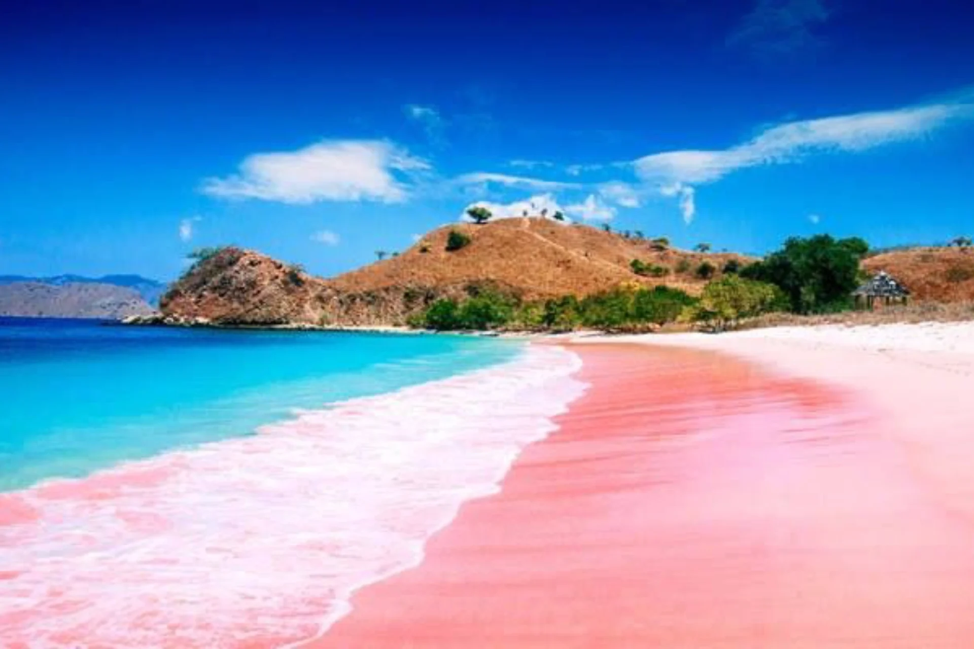 Amazing Pink Beach on Komodo Island, NTT