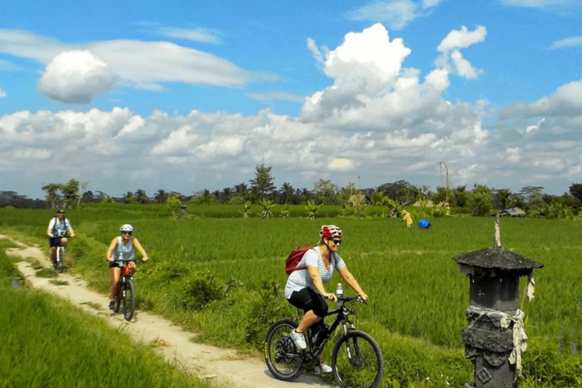 Bali Cycling Tours - Electric Bicycle Tours _ eBikes Bali