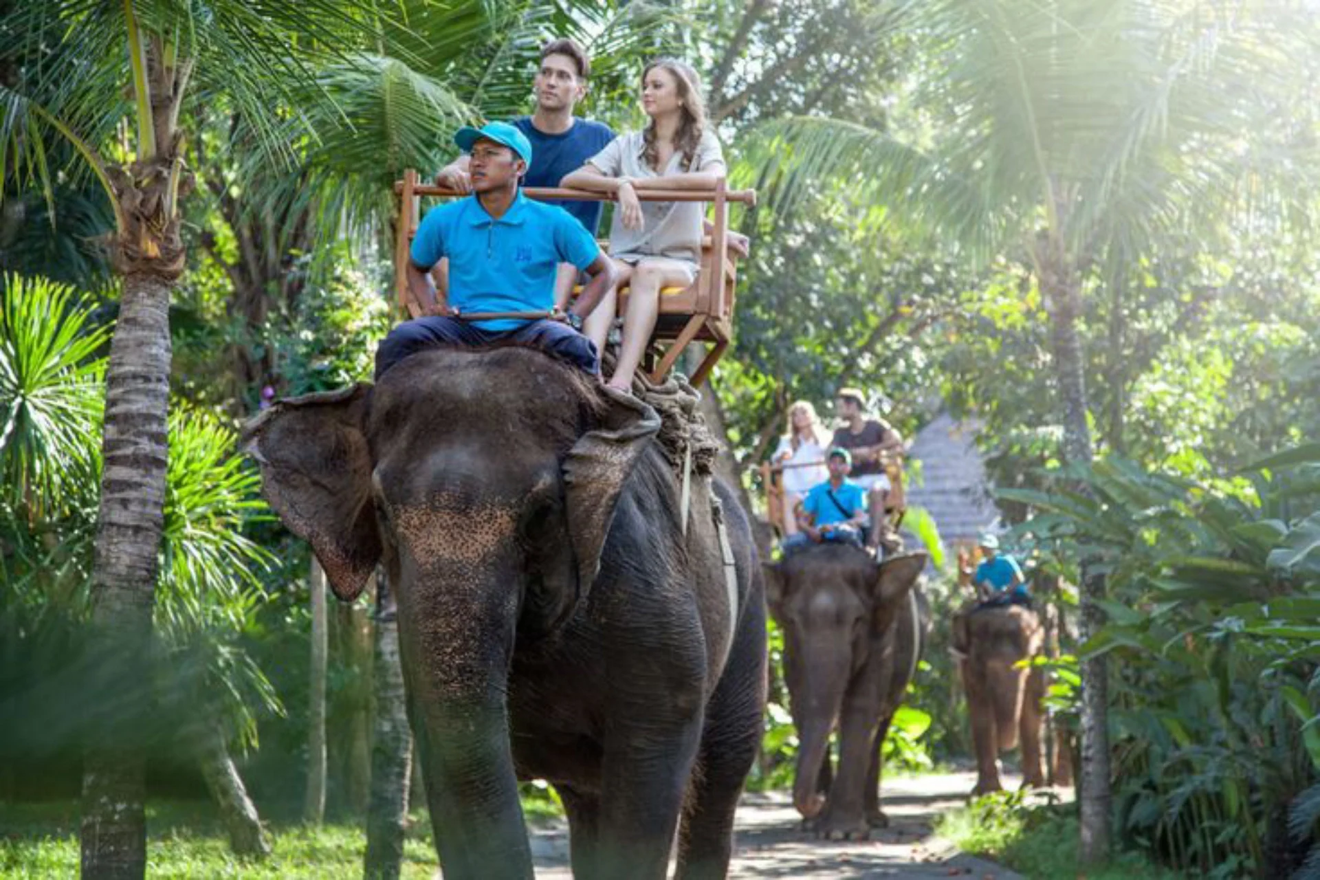 Bali Zoo Elephant Expedition is the most comprehensive elephant tour package in Bali with the zoo experience_ Furthermore, this elephant tour package will take you