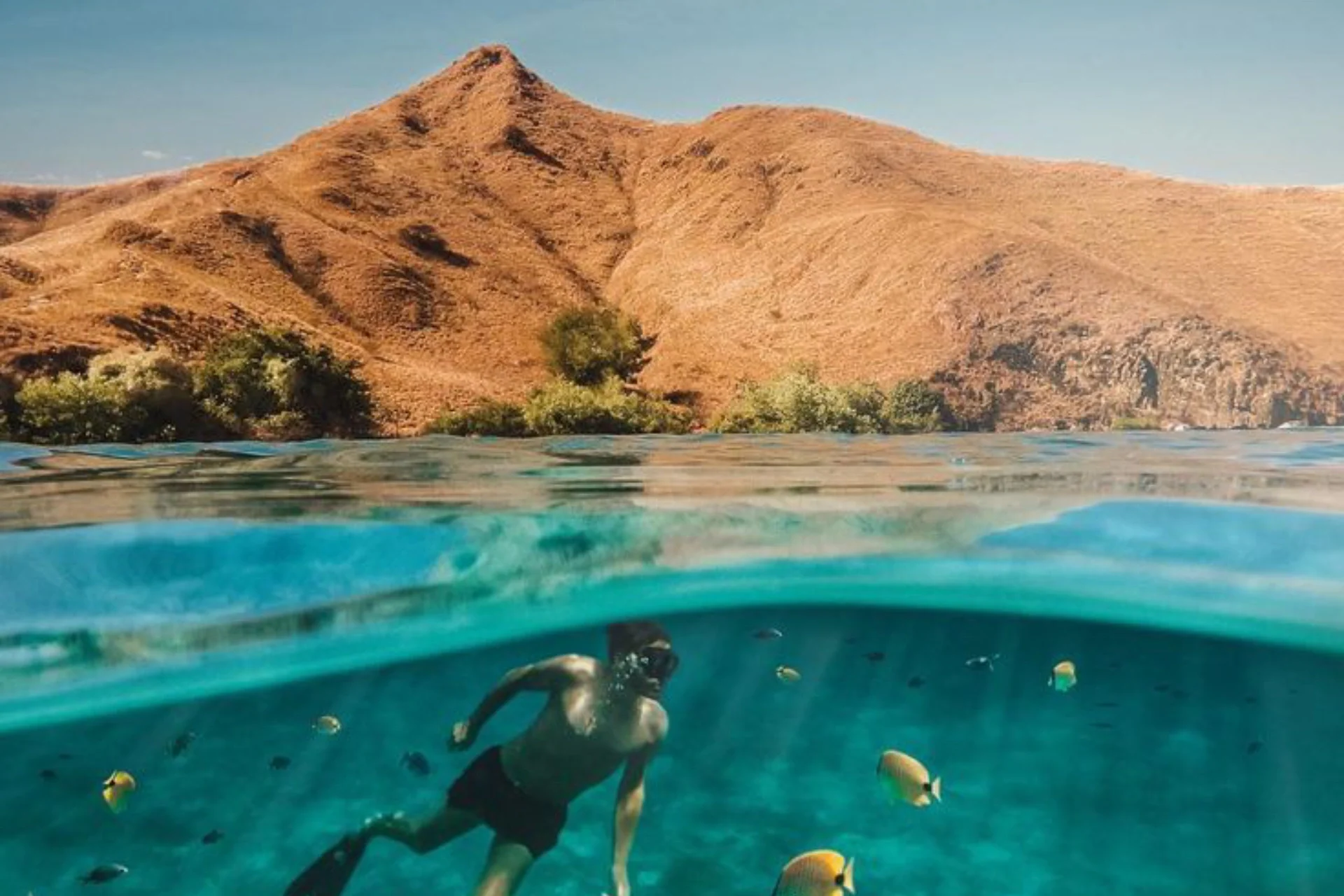 Experience Komodo National Park, Flores Island, Indonesia_