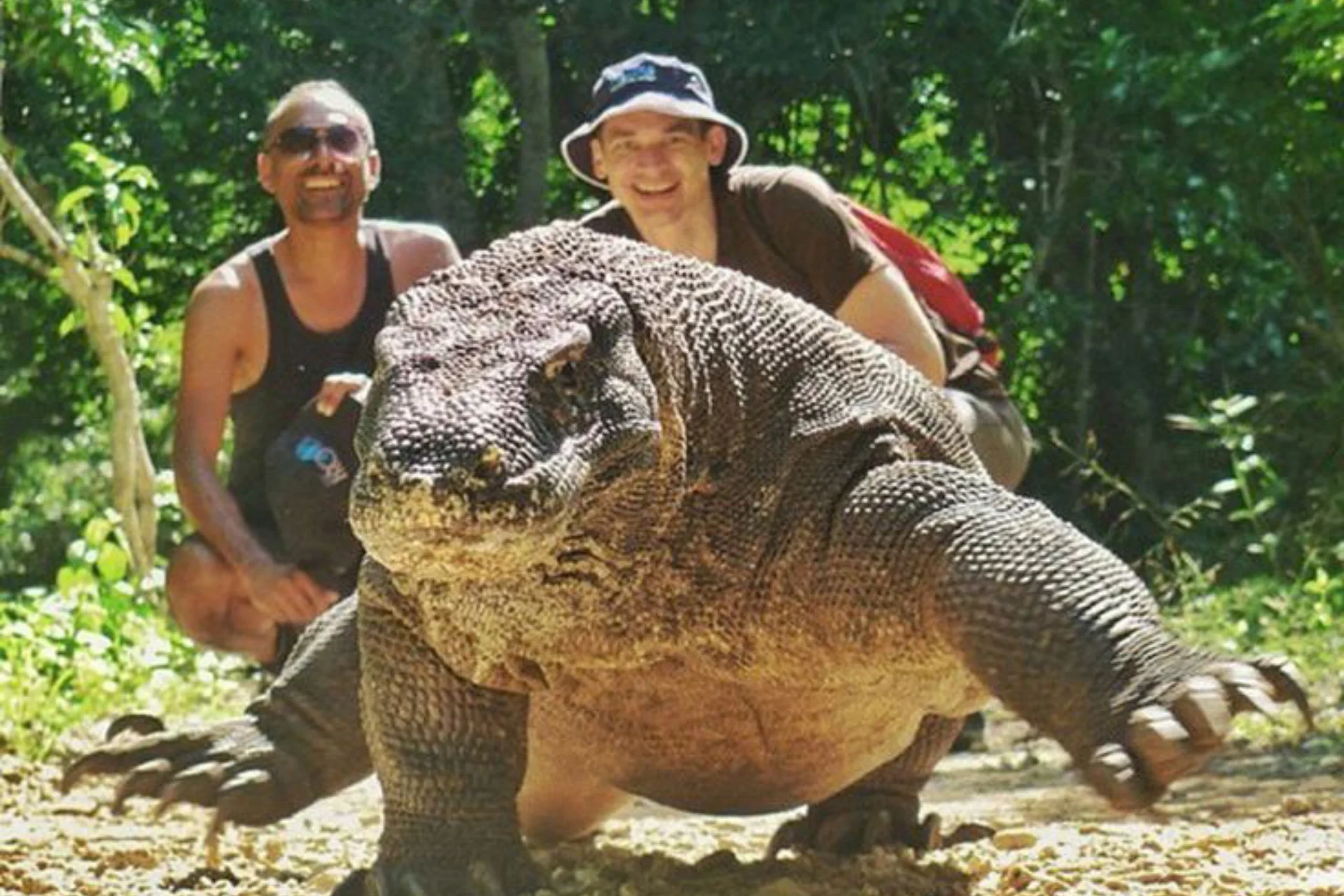 Komodo National Park is NOT closing!_ 9 Untouched paradise islands (with dragons) you can visit in Flores!