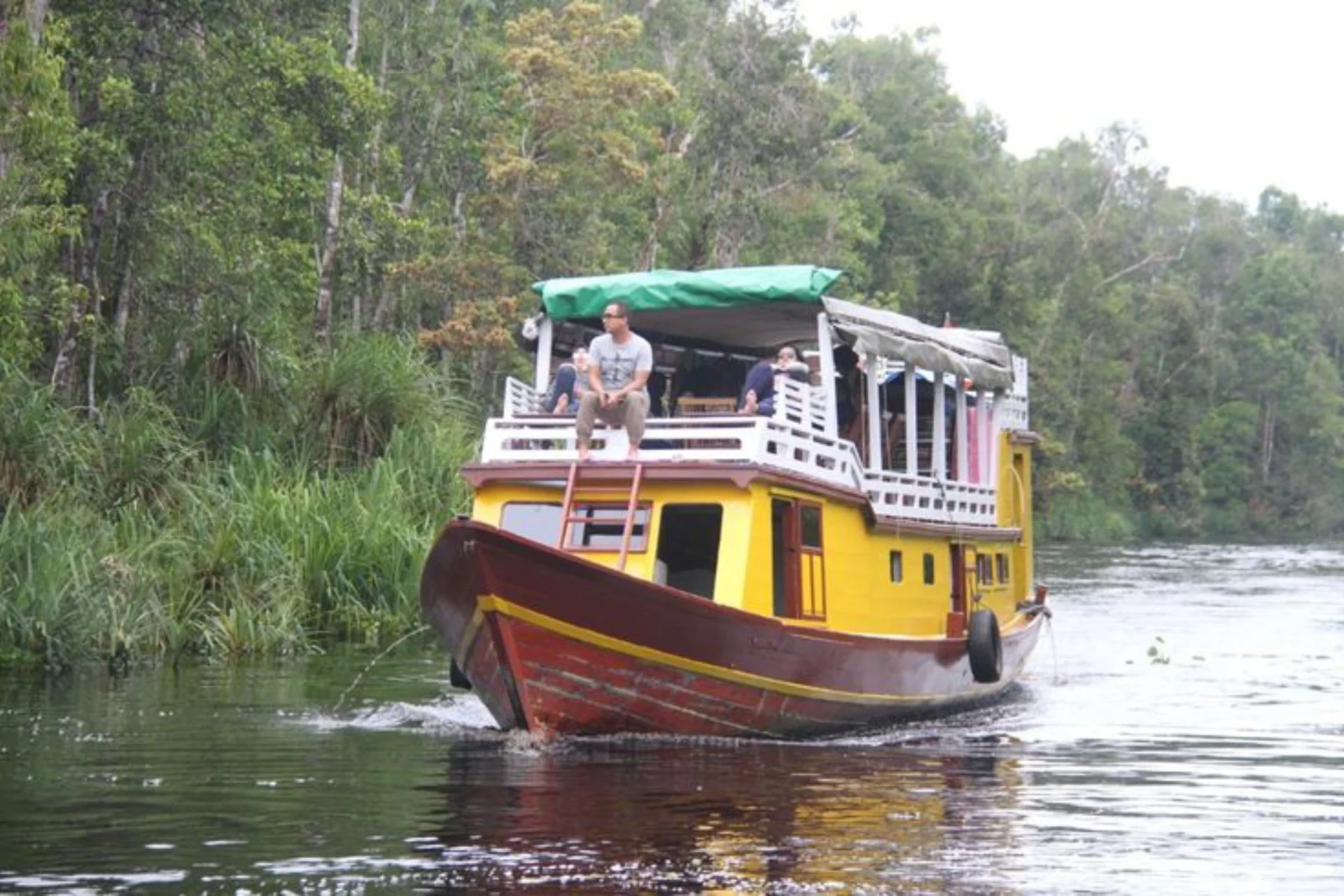Orangutan Tanjung Puting Housbeoat Kelotok