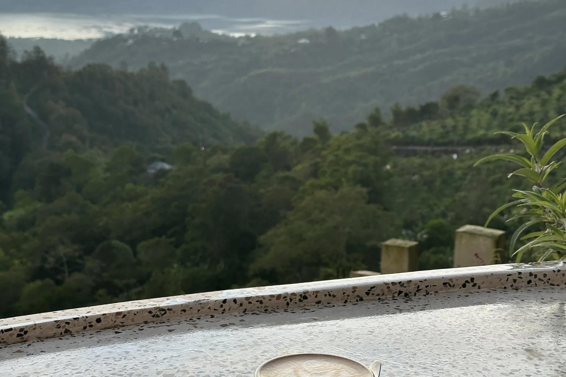 sunrise coffee in kintamani