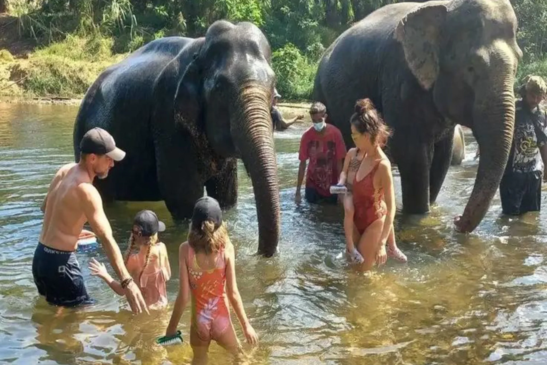 🌿✨ Jungle vibes calling! ✨🌿__From Phuke