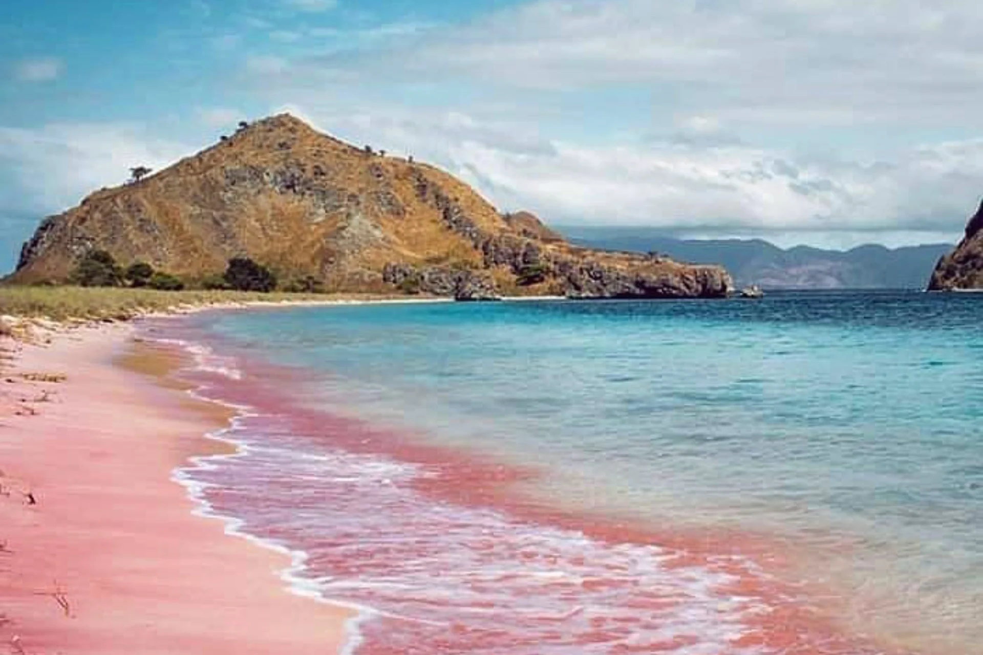 📍komodo & flores island, indonesia_